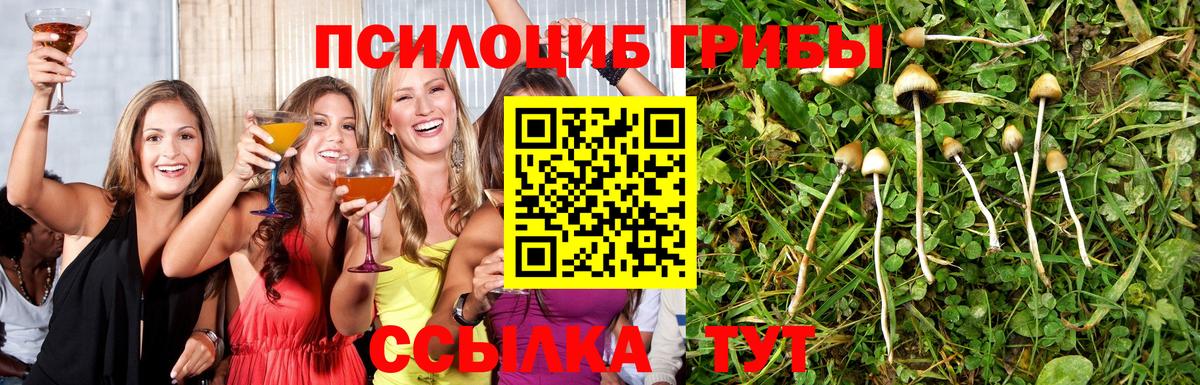 Апатиты  Галлюциногенные грибы Cubensis  Вход с VPN 
